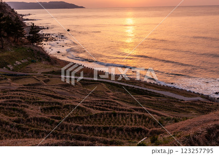 石川県輪島市　白米千枚田　海と棚田の夕景　3月 123257795
