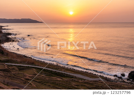 石川県輪島市　白米千枚田　海と棚田の夕景　3月 123257796