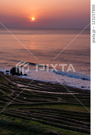 石川県輪島市　白米千枚田　海と棚田の夕景　3月 123257800