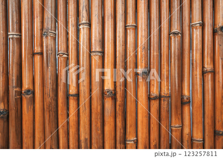 natural wooden fence background with a texture of pattern of dry bamboo natural wooden fence background with a texture of pattern of dry bamboo 123257811