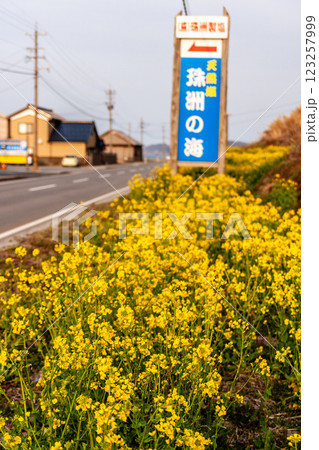 石川県珠洲市 製塩と春景色 3月 石川県珠洲市 製塩と春景色 3月 123257999