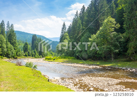 mountainous landscape of ukraine with tereblya river. forest on the hill along the grassy shore. scenery beneath a blue sky with clouds on a sunny day in summer. peaceful tourism in natural 123258010