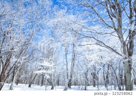 荒船山 荒船山 123258062