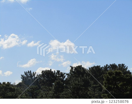 二月の稲毛海浜公園上空の青空と白い雲 123258076