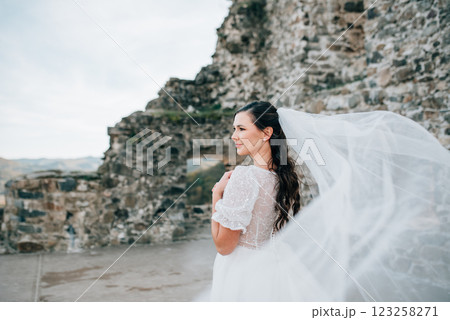 Stunning bride in a snow-white wedding dress with short sleeves. Stunning bride in a snow-white wedding dress with short sleeves. 123258271