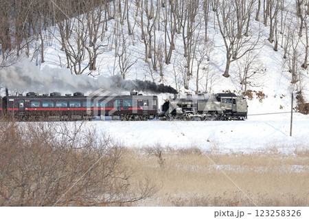 25周年を迎えたSL冬の湿原号 釧網本線 SL列車 蒸気機関車 C11 171 25周年を迎えたSL冬の湿原号 釧網本線 SL列車 蒸気機関車 C11 171 123258326