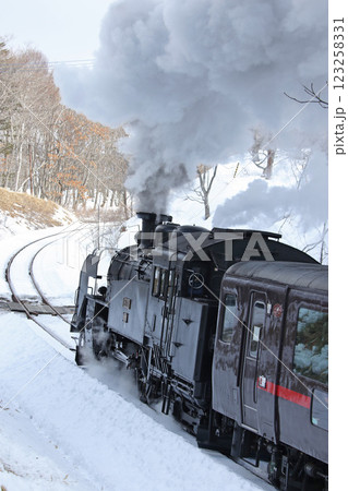 25周年を迎えたSL冬の湿原号　釧網本線　SL列車　蒸気機関車　C11 171 123258331
