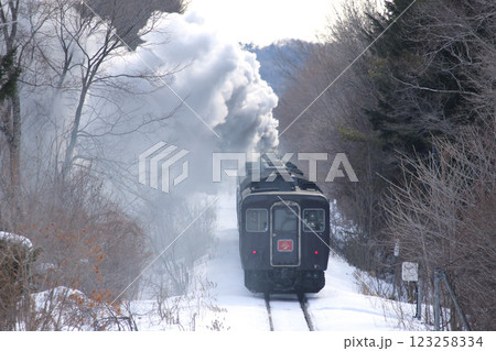 25周年を迎えたSL冬の湿原号　釧網本線　SL列車　蒸気機関車　C11 171 123258334