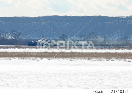 25周年を迎えたSL冬の湿原号 釧網本線 SL列車 蒸気機関車 C11 171 25周年を迎えたSL冬の湿原号 釧網本線 SL列車 蒸気機関車 C11 171 123258336