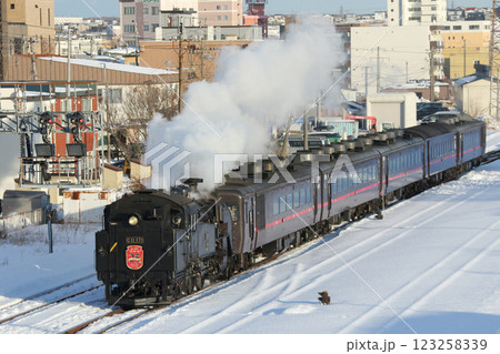 25周年を迎えたSL冬の湿原号　釧網本線　SL列車　蒸気機関車　C11 171 123258339
