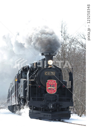 25周年を迎えたSL冬の湿原号　釧網本線　SL列車　蒸気機関車　C11 171 123258348