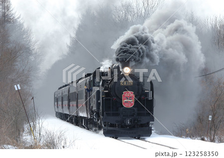 25周年を迎えたSL冬の湿原号 釧網本線 SL列車 蒸気機関車 C11 171 25周年を迎えたSL冬の湿原号 釧網本線 SL列車 蒸気機関車 C11 171 123258350