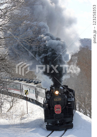 25周年を迎えたSL冬の湿原号　釧網本線　SL列車　蒸気機関車　C11 171 123258353