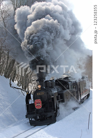 25周年を迎えたSL冬の湿原号 釧網本線 SL列車 蒸気機関車 C11 171 25周年を迎えたSL冬の湿原号 釧網本線 SL列車 蒸気機関車 C11 171 123258355