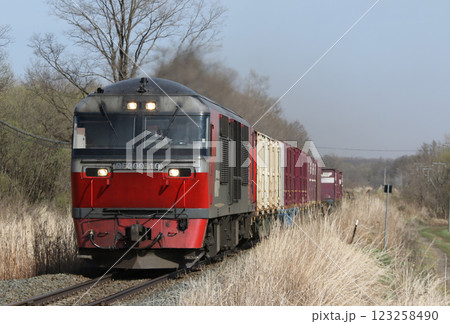 根室本線貨物列車　JR貨物　DF200　電気式ディーゼル機関車 123258490