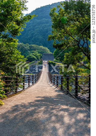 世界遺産　白川村（白川郷） 初夏の花と合掌造り 6月 123258736