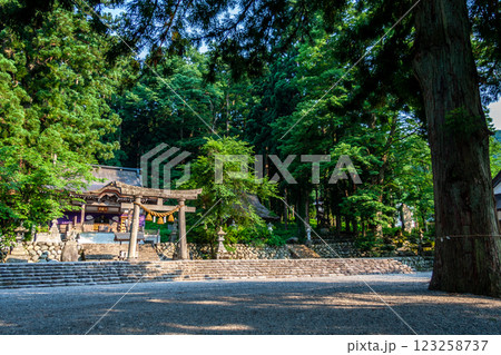 世界遺産　白川村（白川郷） 初夏の花と合掌造り 6月 123258737