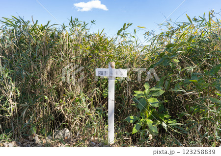 相模湾展望所（鎌倉広町緑地） 123258839