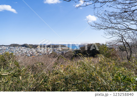相模湾展望所から見た景色(鎌倉広町緑地) 相模湾展望所から見た景色(鎌倉広町緑地) 123258840