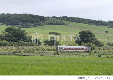 緑の中を駆ける宗谷本線普通列車　宗谷本線　宗谷線　キハ54 123258935
