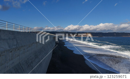 野田村・十府ヶ浦の防潮堤(空撮) - 岩手県九戸郡野田村,日本 野田村・十府ヶ浦の防潮堤(空撮) - 岩手県九戸郡野田村,日本 123259071