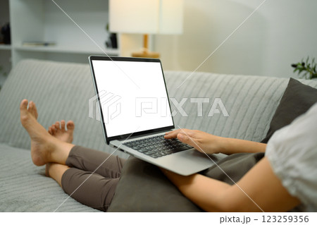 Close up of woman hands typing on laptop with a blank screen, sitting on sofa 123259356