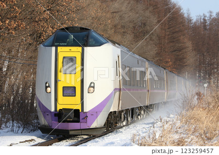 雪晴れの十勝エリアを駆ける特急おおぞら　おおぞら　根室本線　石勝線　キハ261 123259457