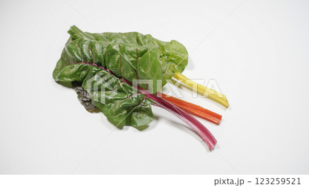 スイスチャード 123259521