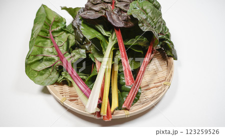 スイスチャード スイスチャード 123259526