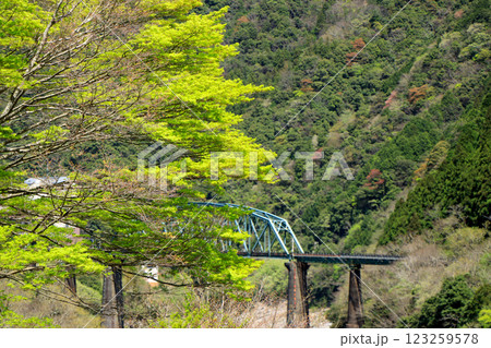 鉄橋のある風景 123259578