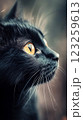 顔のアップ横向きの見つめる黒猫 123259613