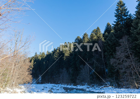 Beautiful landscape, mountain river and snow-covered forest Beautiful landscape, mountain river and snow-covered forest 123259722