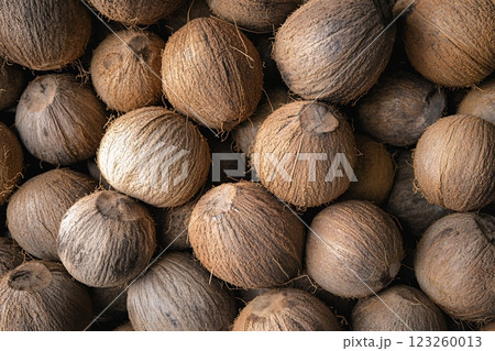 殻付きココナッツのクローズアップと自然な質感 殻付きココナッツのクローズアップと自然な質感 123260013