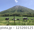 大山と牛 123260125