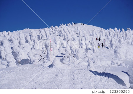 雪の巨人たち 123260296