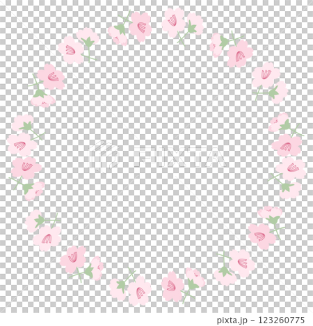 かわいい桜の花の円形フレーム 123260775