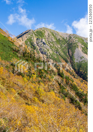 喜作新道から見る黄葉の大天井岳 北アルプス表銀座縦走の槍ヶ岳登山 喜作新道から見る黄葉の大天井岳 北アルプス表銀座縦走の槍ヶ岳登山 123260950