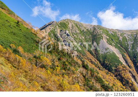 喜作新道から見る黄葉の大天井岳 北アルプス表銀座縦走の槍ヶ岳登山 喜作新道から見る黄葉の大天井岳 北アルプス表銀座縦走の槍ヶ岳登山 123260951