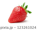 おいしいイチゴ 123261024