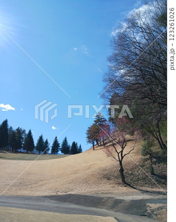 「青空と美しいゴルフコースの風景｜丘陵と緑の木々」 123261026