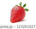 真っ赤なイチゴ 123261027