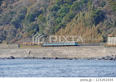 伊豆急行　河津－伊豆稲取　JR東日本　185系（大宮）　踊り子 123261034