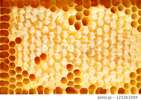 A CloseUp View of Honeycomb Cells Filled with Beautifully Golden Honey and Nectar 123261089
