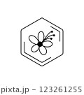 Minimalist floral emblem in hexagon frame. Lipa Vector black line pictogram. Floral themes, pollen, field honey in a minimalistic style. 123261255
