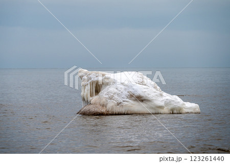 Close-up shot of the Frozen ice blocks in Baltic sea water on the shore, Kaltene, Latvia 123261440