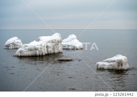 Rocks and ice on the shore of the Baltic Sea, Kaltene, Latvia 123261442