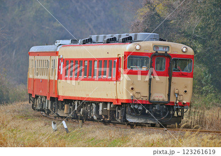 いすみ鉄道　上総東－西大原　キハ52-125+キハ28-2346 123261619