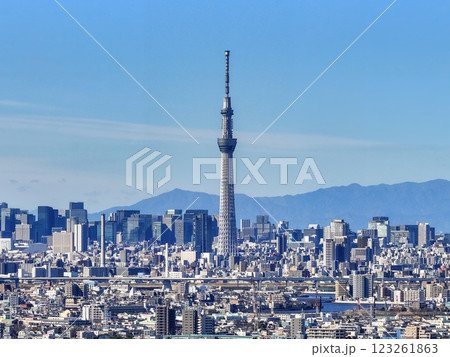 「東京都」青空と東京スカイツリーの風景　都市風景 123261863