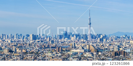 「東京都」青空と東京スカイツリーの風景　都市風景 123261866