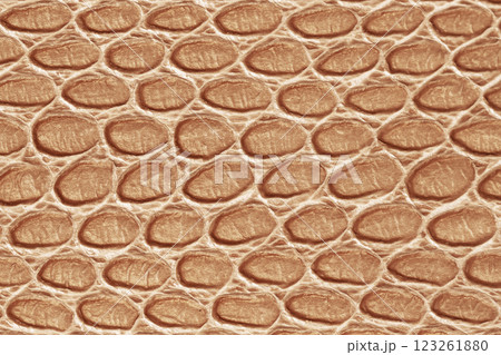 Texture of genuine leather closeup, trendy pattern, scaly exotic reptile, fashion background, Mocha mousse color tones Texture of genuine leather closeup, trendy pattern, scaly exotic reptile, fashion background, Mocha mousse color tones 123261880